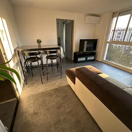 Spacieux , Climatise, 2 Terrasses Et Parking Facile Apartment